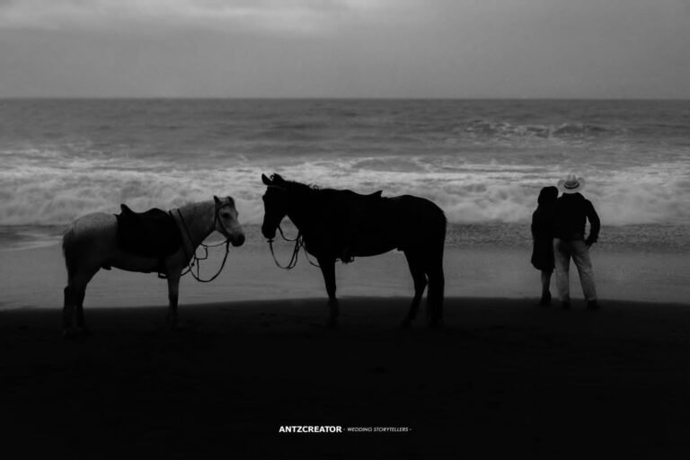 landsc (8)