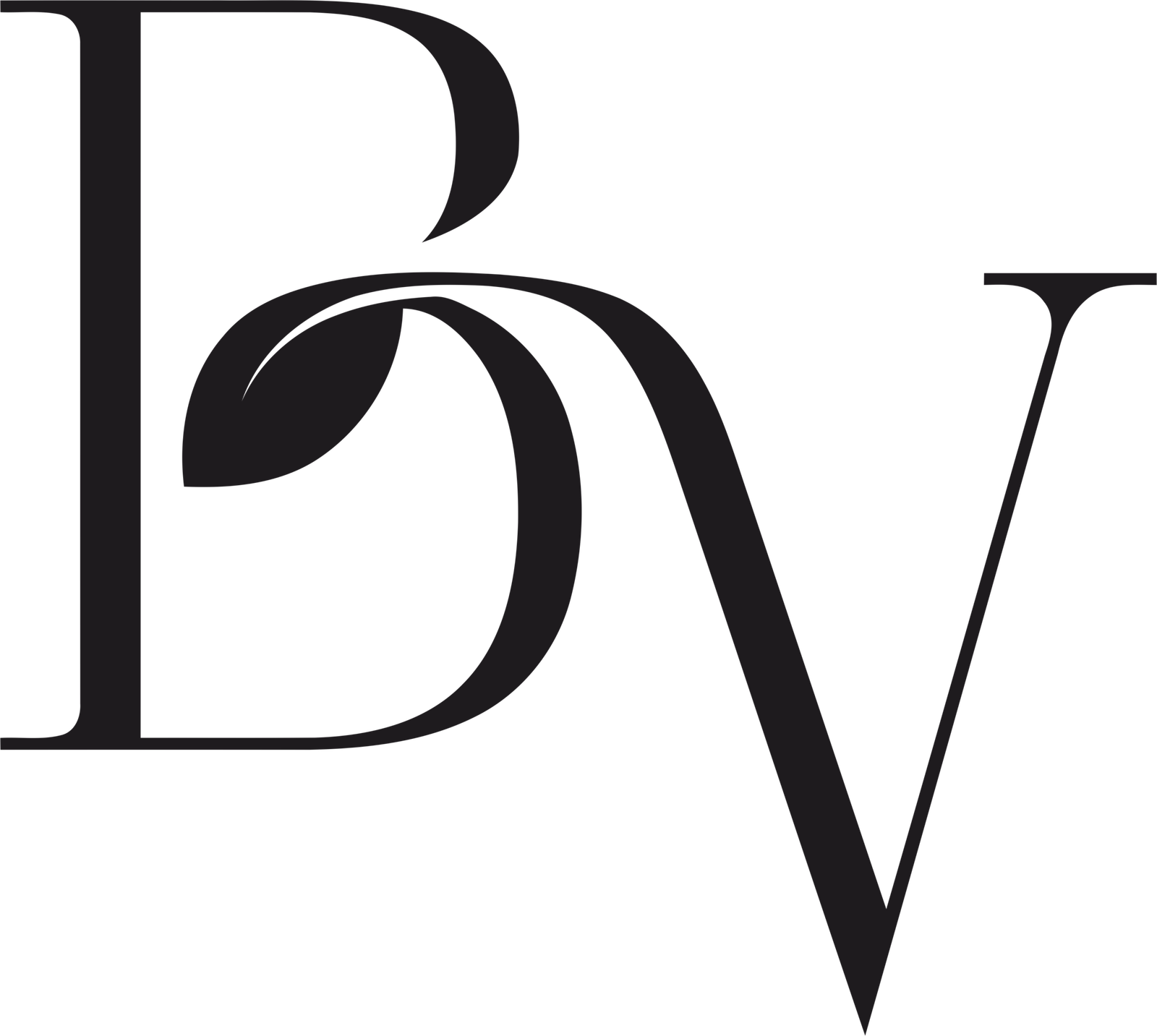 BAYU & VIDYA